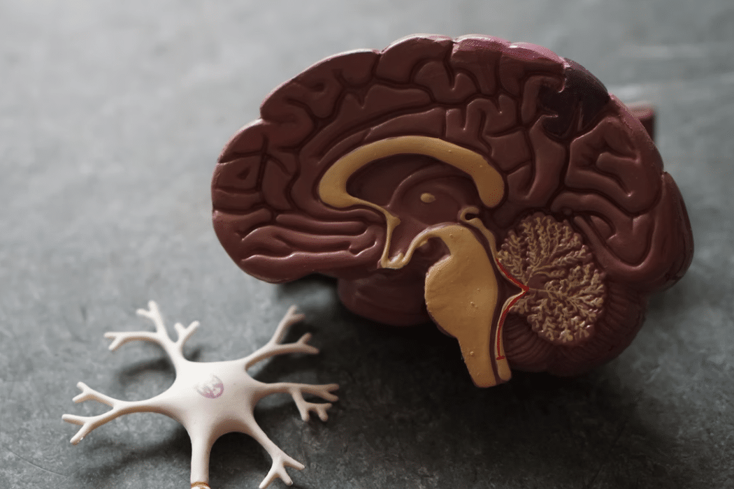 What Is Digital Marketing?